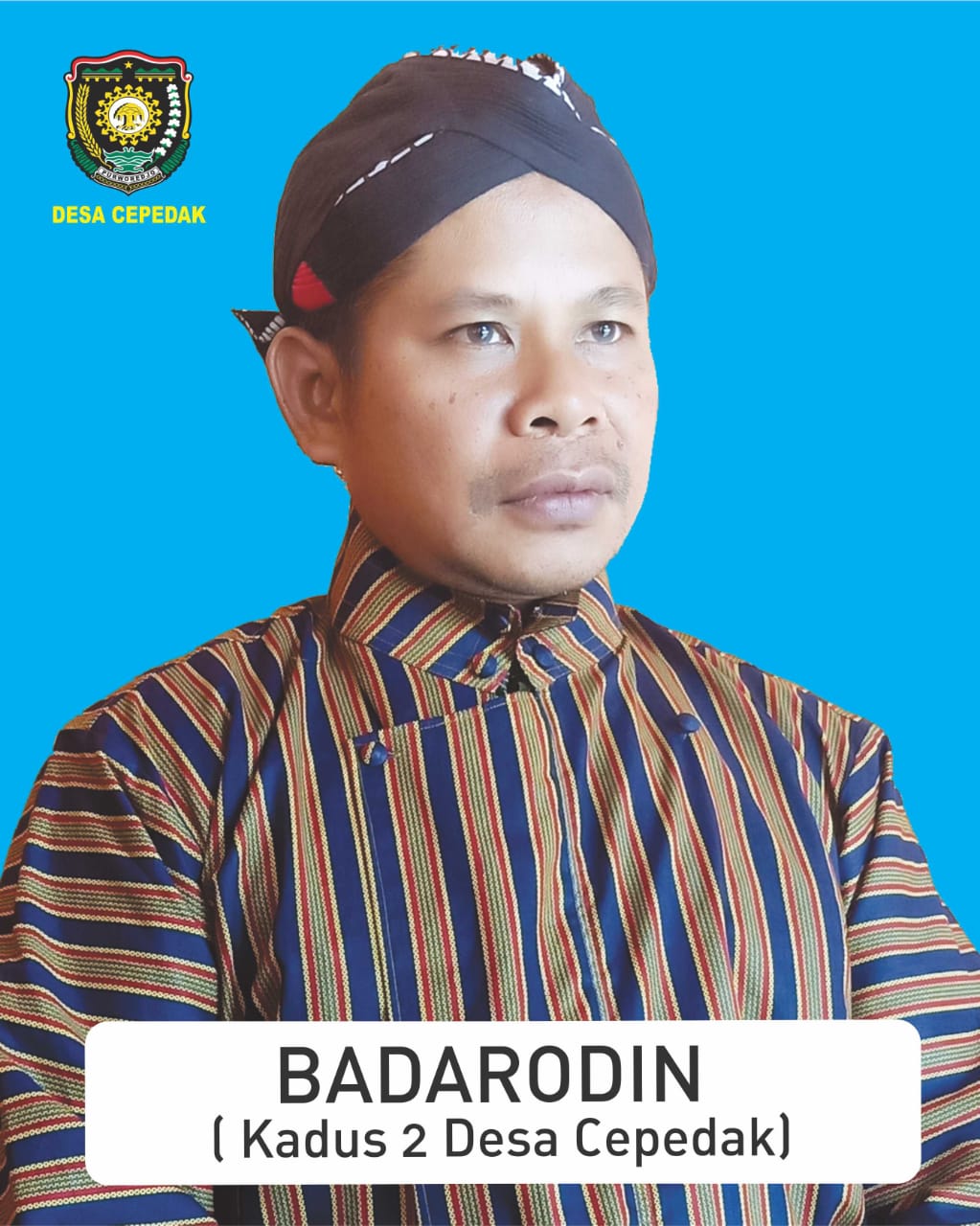 BADARODIN